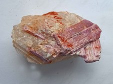 Turmalin rot, im Quarz, Urubu Pegmatit, Minas Gerais, Brasilien, 6 x 3 cm