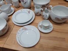 Rosenthal Asimmetria Goldblume Speiseservice Kaffeeservice  79 Teile