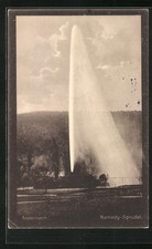 AK Andernach, Namedy-Sprudel 1915 