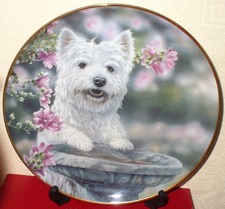 Danbury neuwertige Westies ""Standing Tall"" von Paul Doyle Sammlerplatte