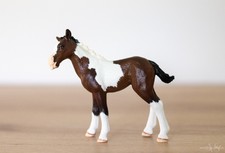 Schleich Pinto Fohlen Repaint | 1 Liveshow Platzierung