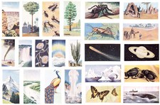 Beano Foto Bubble Gum Wunder des Universums Teilmenge der Handel Karten 1960