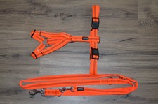 Hund Geschirr und 2 Meter Leine Anione Orange Gr. L