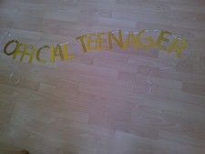Banner Girlande Band Official Teenager Geburtstag gold Glitzer WIE NEU!!