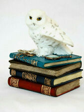 Schmuckbox Schneeeule auf Büchern Fantasy Figur Schatulle 12 cm Veronese Eule
