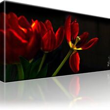 Rote Tulpen Blumen Bild Bilder Leinwand Keilrahmen Wandbild Kunstdruck