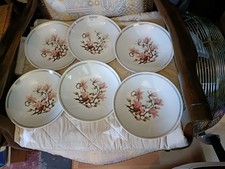 Made in GDR 6 Salatschale Reisschale Sakura Motiv Porzellan 