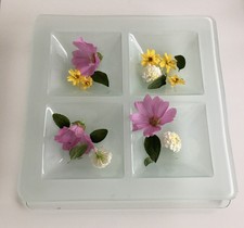 GLASSCHALE mit DECKEL vielseitig ?