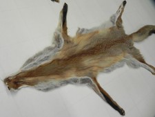 FUCHS Fell Raubtier Fuchsfell Geschenkidee Gartenhaus Kellerbar Deko #87.8.7.2