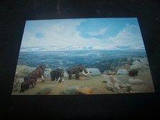 Biete 1 ältere Karte von 4232 Xanten / Niederrhein