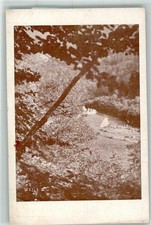 39676919 - Zeltlager Pfadfinder Gebrauchsspuren