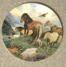 Pferde Highland Ponys DAVENPORT Teller 1990 LIMITIERTE EDITION Sammlerplatte