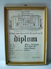 Diplom Cesky svaz chovatelu Kraslice II Hundediplom Tschechische Republik TOP!