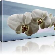 Orchidee Blumen Bild Bilder Leinwand Keilrahmen Wandbild Kunstdruck