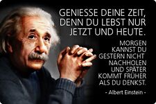 Blechschild 20x30cm gewölbt Geniesse deine Zeit Einstein Deko Geschenk Schild