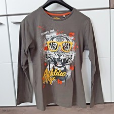 *C&A* Jungen Pullover Longsleeve Gr. 146/152 Grau mit Frontdruck Tiger