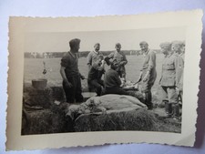 Original-Foto WK2 Soldaten im Feld Schlachtefest