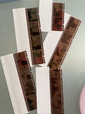 Kelly Family Negative Street Life