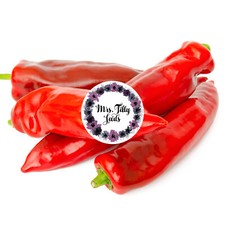 NEU Spitzpaprika CORNO DI TORO ROSSO 20+Samen süsse rote Paprika Capsicum annuum