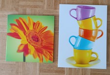 Leinwand Bilder Wandbilder 2 Bilder Frühling Blumen Gerbera und bunte Tassen