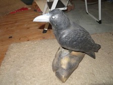 Krähe  Rabe lebensgroß ca 40cm Dohle Deko Gartenfigur zum stellen