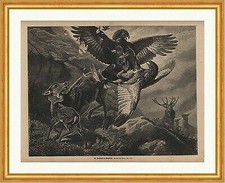 Ein Zweikampf im Hochgebirge Adler Hirsch Reh Rehkitz Raubvogel Holzstich C 0391