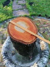 Kirschbaumstamm Kirschholz Bastellholz  drechseln 11.11. gefällt 