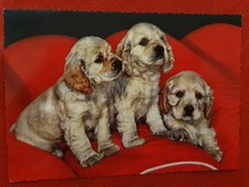 Postkarte - Golden Retriever Welpen 