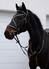 Rittertrense Ritterzaum Prunkzaum Prunktrense Nieten gold Kaltblut Leder schwarz