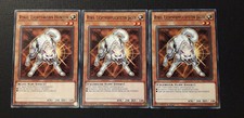 Yu-Gi-Oh! 3x Ryko, Lightsworn Hunter, YS18-EN018/ DE018/ YS17, C., 1A., NM-