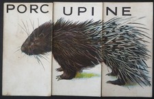 Wills drei RAR Vintage 1934 Original Zigaretten Karten animalloys Stachelschwein