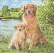 3 lose Servietten ~ Golden Retriever Labrador mit Welpe Hund