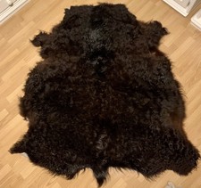 Echtes Galloway Kuh Rind Fell