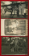 3 x Orig. Militär Foto AK 1.WK, Soldaten m. Pferden, u.a. Karpathenkorps ( 60749