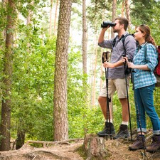 Reise Deal 3 Tage Urlaub Unterfranken Main Spessart | 3* Veggie Hotel 2P + Sauna