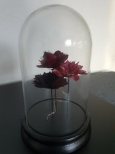 Leuchtdeko Kuppel mit Stoffrosen beleuchtet