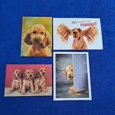 4 Hunde Postkarten 80er süsse Welpen Cocker Spaniel Postkarten 