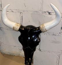 Stierkopf Schädel mit weißen Hörner Kuhschädel Kuh Stier Kopf Bulle Dekoration 