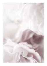 Poster Bild Desenio 21x30cm DUSTY ROSE Fotodruck mit Bilderrahmen Rose