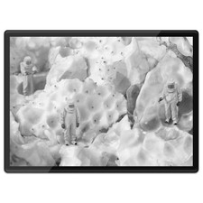 Kunststoff Tischset a3 BW-cooles ALIEN Granatapfel Schale #38842