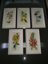 Japanische /Chinesische Wandbilder