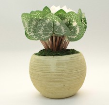 LUMIDA Flora Leuchtende Blumen Alpenveilchen Übertopf Timer ca. 25 x 16 cm Bunt