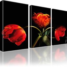 Tulpen Blumen Bild 3 Teilig Bilder Leinwand Wandbild Kunstdruck
