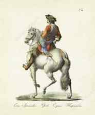 Spanische Pferd & Reiter Antik georgischen Gravur Brodtmann 1816 Kunstdruck Poster