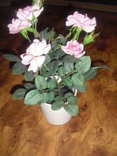 Deko Blumen im Topf -Tulpen