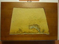alte Fossile im Stein (14-18x12cm) mit Holzrahmen (27x18cm) Wandbild, Deko, Samm