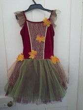 Brandneu ohne Etikett 1. Position Mädchen Tanzkostüm/Tutu. Herbst-Tutu. Kind X-Large. ?Solo