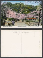 Japan alte Postkarte Beppu Hot Spring Resort Straße Kirschblüten STRAM Mt 