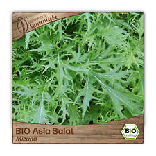 BIO Salat Samen Sorte Mizuna Gemüsesamen BIO Gemüse Saatgut samenfeste Salatsame