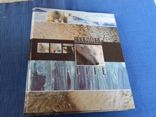 MOTIVORDNER/ORDNER – DIN A5 – EISBÄR/EISBÄREN